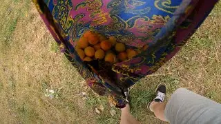 Летний день: #таймлапс