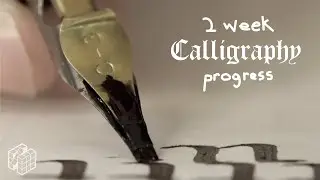 Learning Calligraphy with No Experience