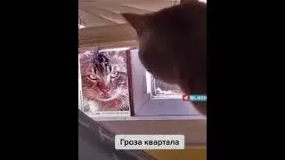 Кто ты такой?