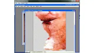Tutorial cara Menghilangkan objek tanpa crop background