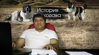 Мой канал был взломан и как я его вернул. Поддержка Ютуб реально работает.