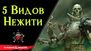💀 5 видов нежити для вашего приключения | Dungeons and Dragons | Lore DnD 💀
