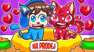 KOČKY NA PRODEJ v Robloxu