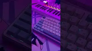 🦜 Parrot in CMD