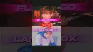 Flamingo VS Lankybox