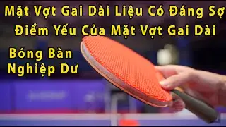 Tìm Hiểu Về Gai Dài Trong Bóng Bàn ( Điểm Yếu Gai Dài ) // Bóng Bàn Nghiệp Dư - BBND
