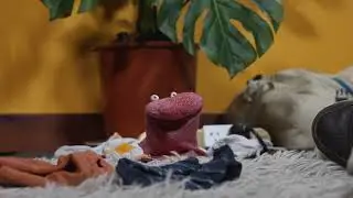 Honey, I'm Home: Episode Six