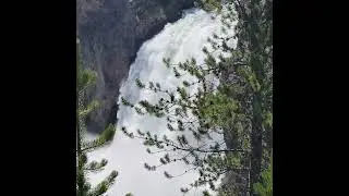 Yellowstone