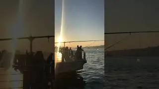Yüzümü sensin biriktiren kitaplara
