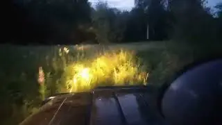 Уаз хантер и небольшие дебри в Смоленской области.