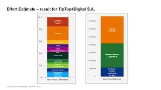 Effort Estimate – SAP S 4HANA Adoption Starter Program