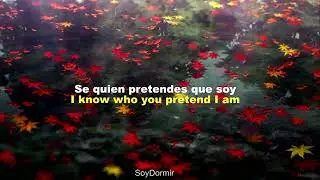 Mitski - Washing Machine heart - Sub español - Sub ingles