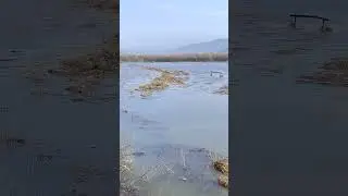 В Сотниково вышла вода из реки Селенга