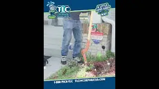 Talking With TLC Employee Rudy