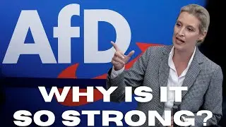 Why is the AfD in Germany so Strong? – The 2025 Election Explained