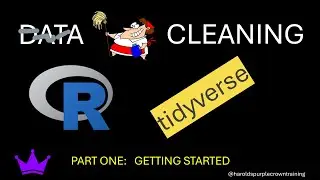 Data Cleaning in the R tidyverse: Getting Started