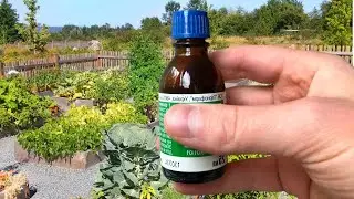 1 Spoon per Jar of Water and Earth Like New! Better manure 50 times! Spill this land for the harves
