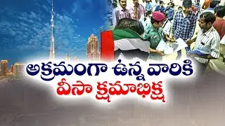 UAE Initiated Visa Amnesty Program | To Regularize Illegal Migrators