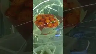 27 августа 2024 г.