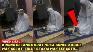 KUCING SELAMBA BUAT MUKA COMEL KACAU MAK SOLAT, LIHAT REAKSI MAK LEPASTU...
