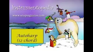 Autoharp de 12 acordes