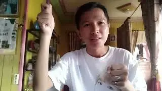 lu punya duit lu punya kuasa versi duta NMAX