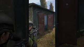 Забрал сквад в DayZ #shorts #dayz #dayzstandalone #дейз #dayzgameplay