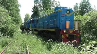 Тепловозы ТЭМ2-2757, ТЭМ2-9070 с грузовым составом + тепловоз ТЭМ2-1327