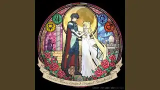 愛と正義のセーラー戦士