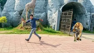 Bangabandhu Sheikh Mujib Safari Park। Gazipur Dhaka Bangladesh। KHM Vlogs