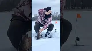 Уже совсем скоро, на всех водоемах страны! #ловлящуки #рыбалка53