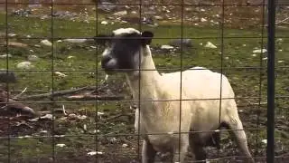 крик души хахаха))))))