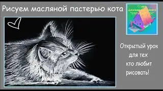Рисуем котика