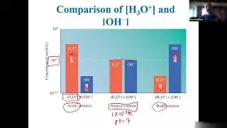 Chapter 11: Lecture 2 - pH Calculations