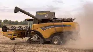 Oogsten wintertarwe uiterwaarden Nederasselt op donderdag 29-07-2021.