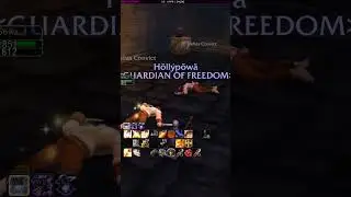 Retribution Paladin Stockades World of Warcraft Classic 