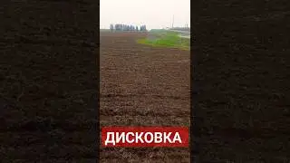 Дисковка трактором МТЗ #трактор  #мтз1221 #mtz80