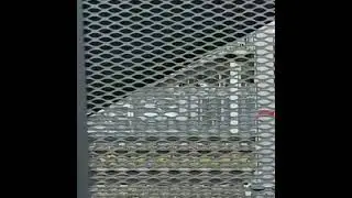 Моя любовь и быть собакой