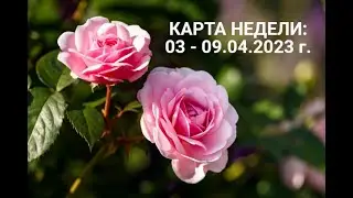 ТАРО ПРОГНОЗ НА НЕДЕЛЮ с 03 - 09.04.2023 г. |  ГОРОСКОП НА НЕДЕЛЮ | ТАРО ПРОГНОЗ