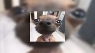 The Weeknd - The Party & The After Party (original) (Sped Up)