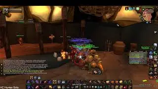 Turtle wow - Druid/Warrior.....PvP/raid/dungeons/Quests