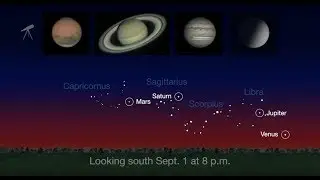 What's Up for September 2018