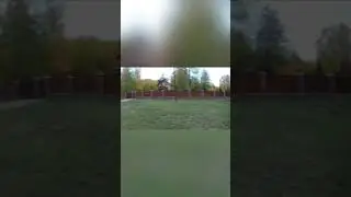 НАПАЛА ОГРОМНАЯ СОБАКА! 