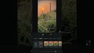 Best Video Editing App |iPhone Video Editing| Mobile Video Editing| Color Grading Video Editing