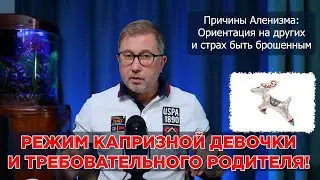 Аленизм и мужское движение. Почему мужчина начинает аленить?!