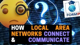 The World of LANs: How Local Area Networks Connect and Communicate