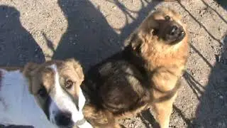 со всей этой территории нас уже выгнали