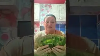 Золотая рыбка в том, чтобы Вы начали свою жизнь с чистого листа.