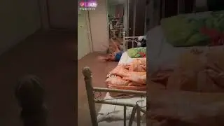 Я  хомяк хахаха