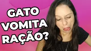 Gato Vomita Ração. O Que Pode Ser? 😞